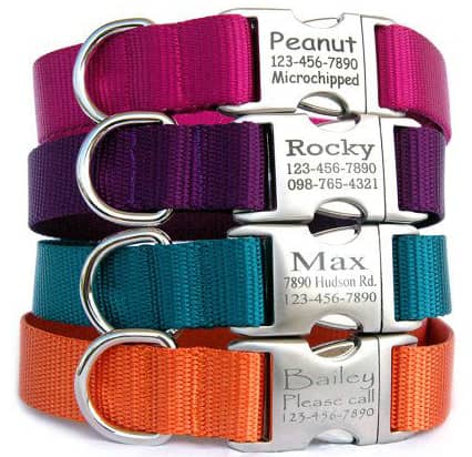 Laser Engraved Metal Dog Collars Stacked