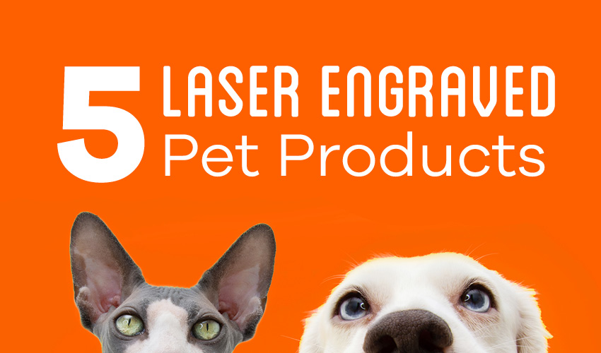 5 Laser Engraved Pet Products