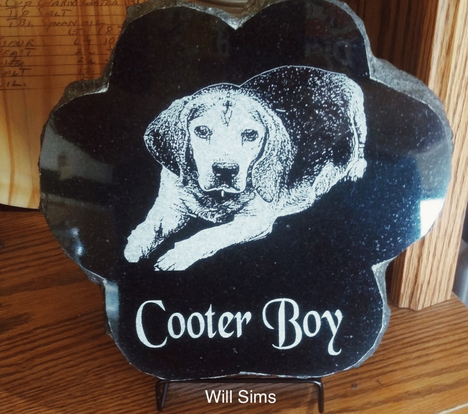 Cooter Boy Dog Marker