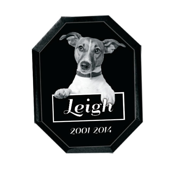 Image Of An Jet Black Granite Octagon Tile With An Engraving Of A Dog.