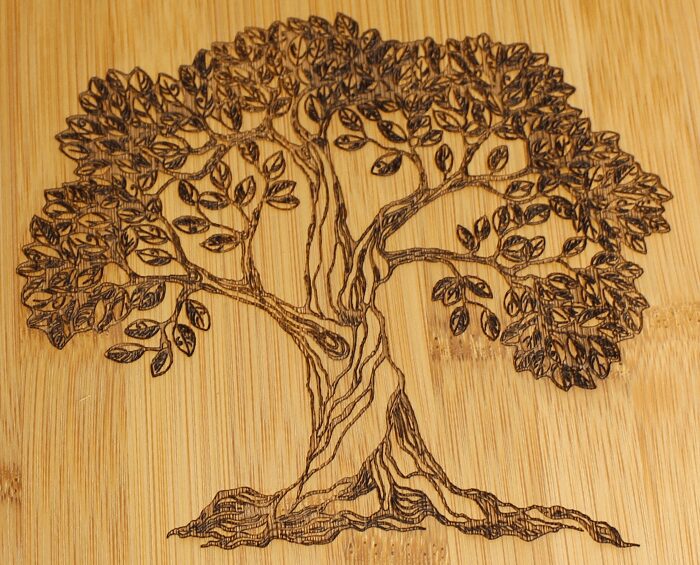 Photo Of Engraving Tree On Wood