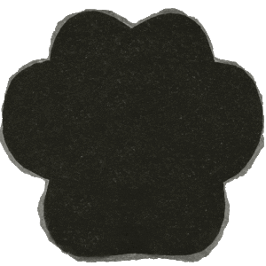 Jet Black Granite Paw Marker