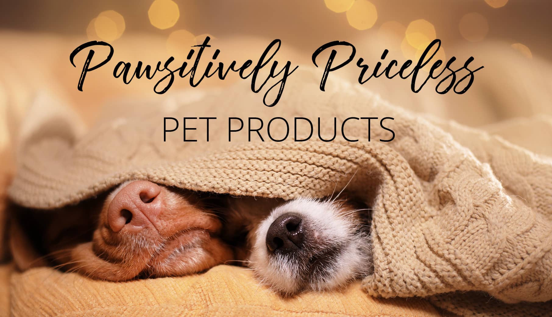 Personalized Pet Products For People Who Like Pets More Than Humans