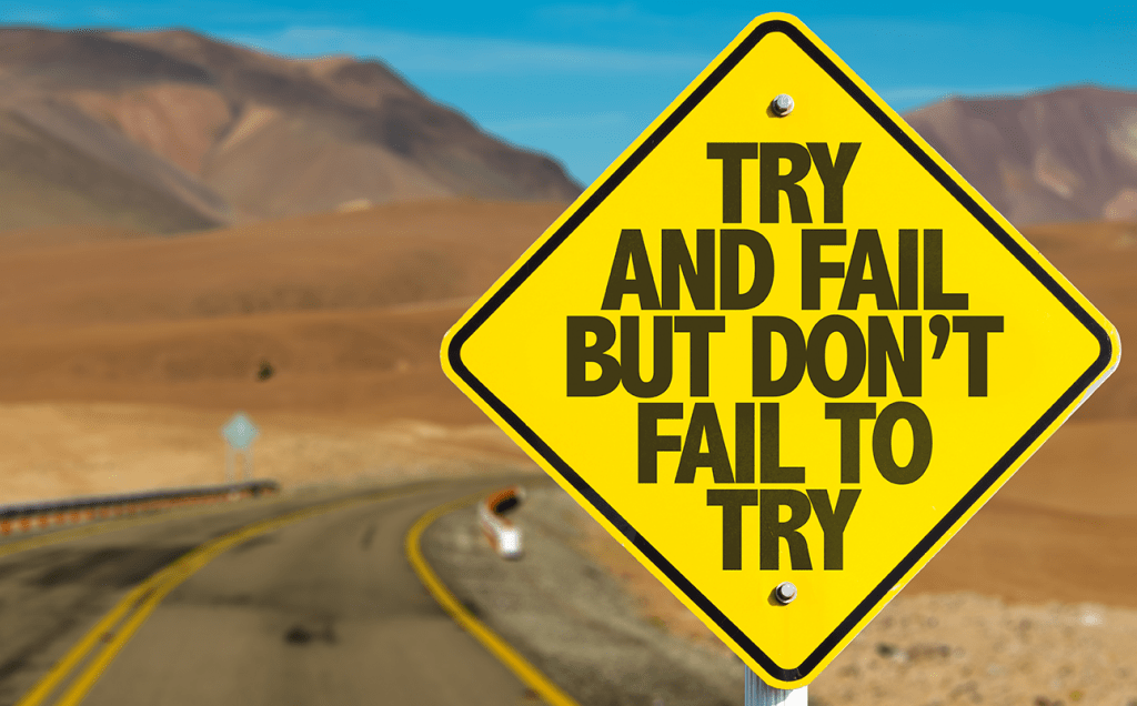 Try And Fail, But Don't Fail To Try