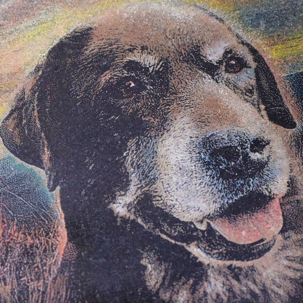 A close-up photo of a dog, engraved on jet black granite and painted to add color to it.