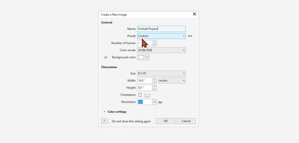Screenshot of project settings for a corel photo-paint project.