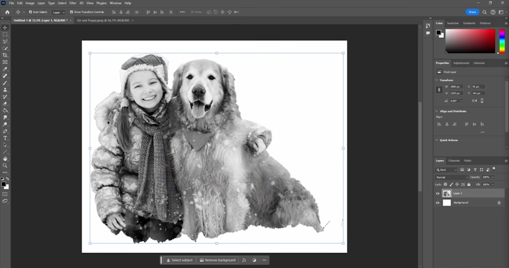 Screenshot of an image of a girl and her dog being desaturated in Adobe Photoshop.