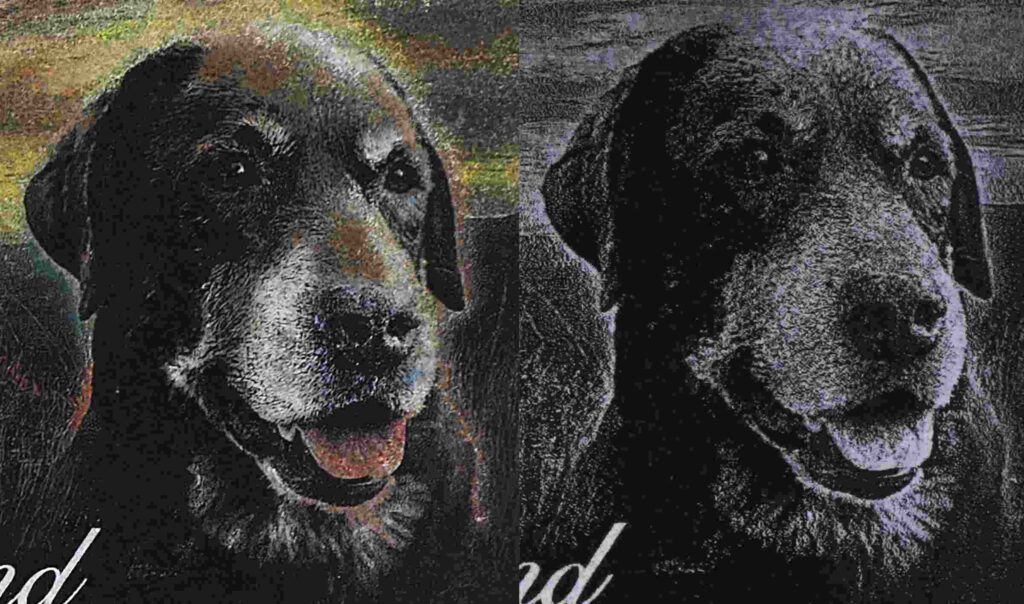 A photo of a comparison between a painted and non-painted memorial engraving on jet-black granite.