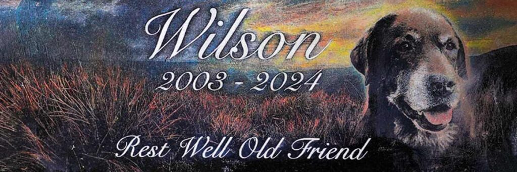 A photo of a painted black granite memorial that has been laser engraved with a pet portrait and paint filled.