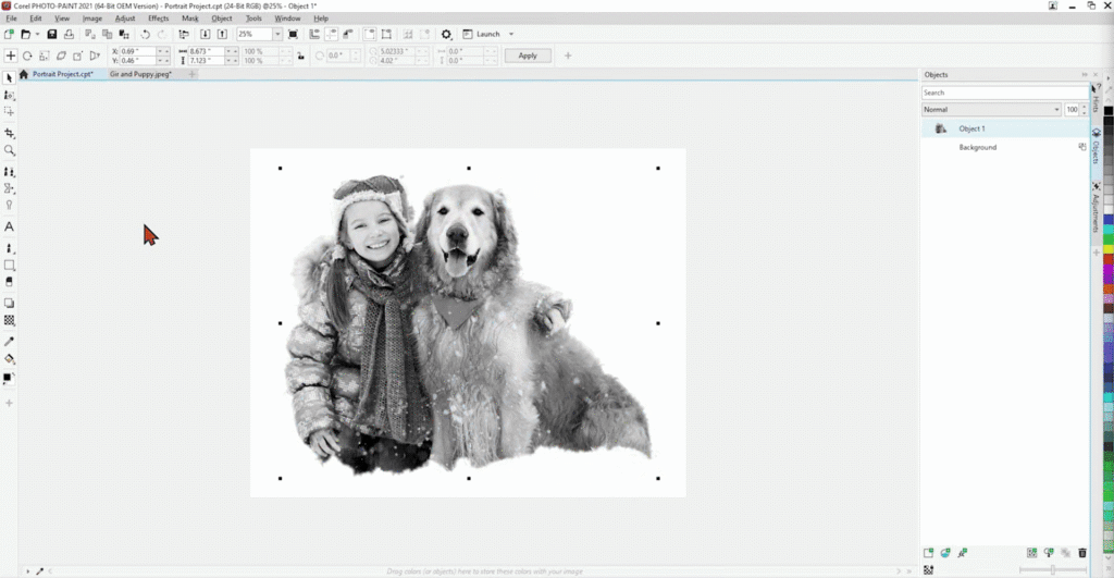 A photo of a girl and her dog being desaturated in Corel Photo-Paint.